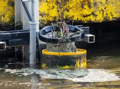 <p>        So sehen die schwimmenden M&uuml;lleimer aus. Sie sind aktuell in Emden und Wilhelmshaven im Einsatz und sollen verhindern, dass der Plastikm&uuml;ll den Grund erreicht.        Sina Schuldt/dpa             </p>