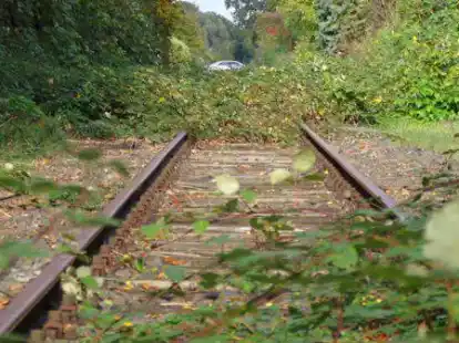 <p>        Die Natur erobert sich bereits die Bahntrasse zur&uuml;ck. Einen Radweg wird es zwischen Altenesch und Delmenhorst auf diesem Gebiet nicht geben.        G&uuml;nther Richter             </p>