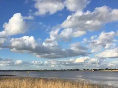 <p>        Die Weser beim Golzwarder F&auml;hranleger        Ulrich Schl&uuml;ter             </p>