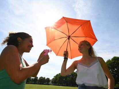 Hitzewelle im Juni 2019:   Daisy  und  Merle (hier auf der Dobbenwiese) werden sich daran gew&ouml;hnen m&uuml;ssen.