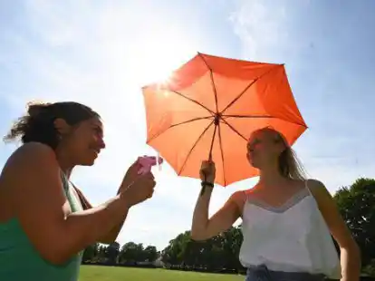 Hitzewelle im Juni 2019:   Daisy  und  Merle (hier auf der Dobbenwiese) werden sich daran gew&ouml;hnen m&uuml;ssen.