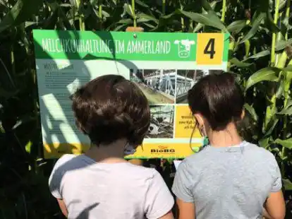 Spa&szlig; im Maislabyrinth, verbunden mit Wissenswertem aus der Landwirtschaft: Das gibt es wieder an diesem Wochenende.