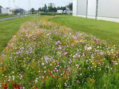 Industrie, Gewerbe und Natur: Die Zukunft Emden und das &Ouml;kowerk arbeiten zusammen.