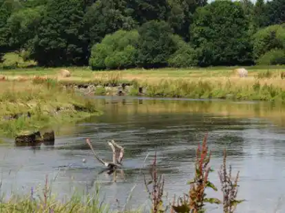 Mit dem Rad durch die Gemeinde: G&auml;stef&uuml;hrer Peter Ernst wird Teilnehmerinnen und Teilnehmer auch Informationen &uuml;ber die verschiedenen Ortsteile Wardenburgs mitgeben.
