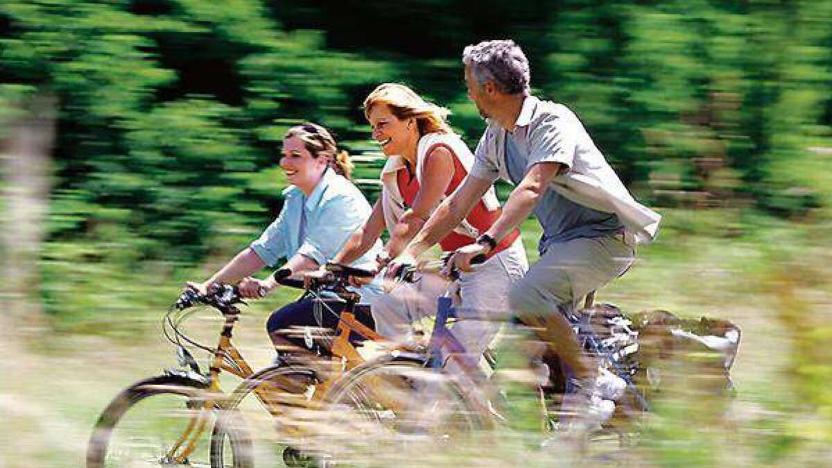 Radtour durch Butjadingen geplant