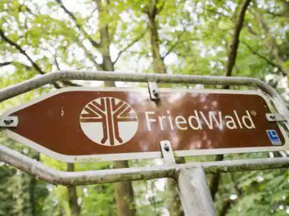 Bestattungsw&auml;lder sind im Kommen. Wie hier im hessischen &bdquo;FriedWald&ldquo; wird auch in Ostfriesland der Ruf nach einer alternativen Bestattungskultur lauter.