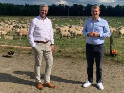 Schafe, soweit das Auge reicht: Stephan Tapper (links) und Philipp Albrecht informierten sich bei der Deichsch&auml;ferei Holle.