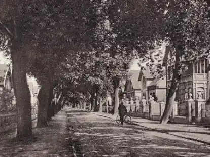 So wie in den 1940er-Jahren wird die Norddeicher Stra&szlig;e wohl nie mehr aussehen, aber zumindest in Teilen will die Stadt daf&uuml;r sorgen, dass Norden den Slogan als &bdquo;gr&uuml;nes Tor zum Meer&ldquo; wieder verdient hat.