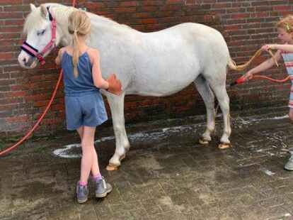 Dank einer privaten Spende hat der Reit- und Fahrverein Rodenkirchen jetzt eine Waschstation f&uuml;r Pferde.