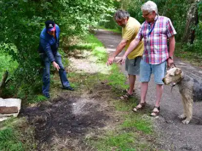 &Uuml;ber zu sp&auml;t am Vollersweg vom Abdecker entsorgte Schafkadaver beschwerten sich in der vergangenen Woche bereits (v. l.) Kurt Meyer, Thomas Ruhland und Ronald Junge. Am 30. August sind drei neu Kadaver abgelegt, aber noch am selben Tag abgeholt worden.