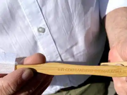 Wahlwerbung mit Reinigungspotenzial