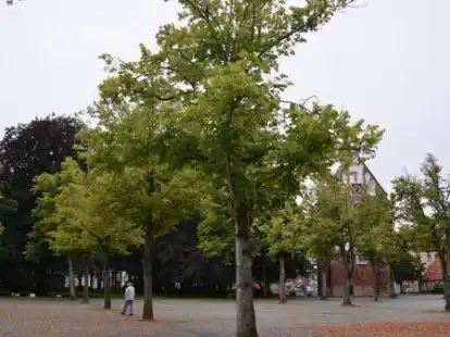 Der Marktplatz in Norden ist einer der wenigen Orte in Norden, an dem es bislang ausreichend Gr&uuml;n gibt &ndash; k&uuml;nftig soll es davon auch an anderen Stellen mehr geben.
