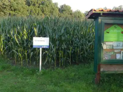Zur Feldrundfahrt durch Gro&szlig;enkneten lud j&uuml;ngst das Ortslandvolk ein.