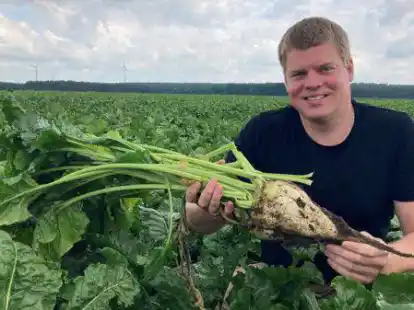 Darf noch reifen: Bernd Ehlers in seinem Feld mit Zuckerr&uuml;ben - das Getreide ist mittlerweile geerntet.