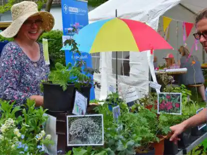 Pflanzen, T&ouml;pfe und Gartenkleinger&auml;te k&ouml;nnen Interessierte beim Elsflether Pflanzentausch an der Kaje tauschen