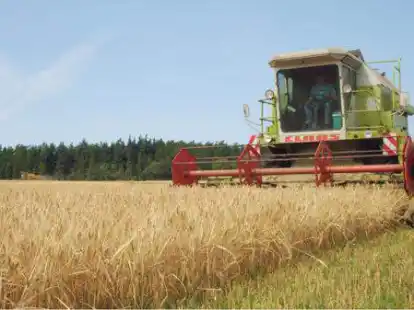Ein Szenenfoto: Der Film &bdquo;Born for Korn&ldquo; portr&auml;tiert die Arbeit der Familie Sierck auf ihrem Hof in Schleswig-Holstein.