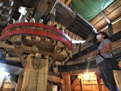 Staunen &uuml;ber das h&ouml;lzerne Innenleben: eine Besucherin unter der Haube der Hinteraner M&uuml;hle.