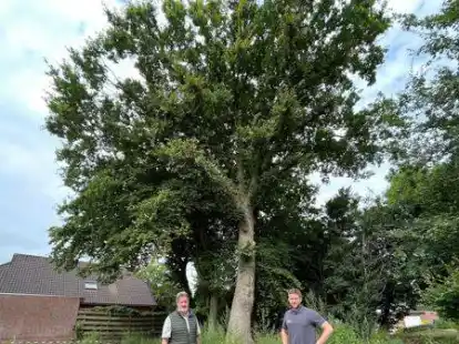 Am &bdquo;Nordpol&ldquo; in Rastede: Karl Heinz Wemken (links) und Jan Wemken geben Einblick in die Baupl&auml;ne. Die B&auml;ume im Hintergrund st&ouml;ren allerdings bei der Umsetzung.