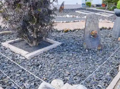 Mit der Mischung aus Gestein und sparsamen Gr&uuml;n wirken Schotterg&auml;rten ein wenig wie Landschaften entlegener Planeten. Umweltsch&uuml;tzer warnen vor solchen G&auml;rten &ndash; erlaubt sind sie zudem auch nicht.