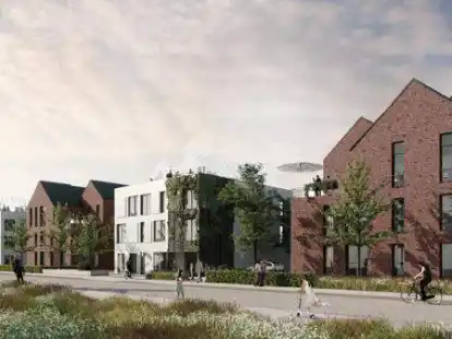 Der Plan: So sollen die f&uuml;nf H&auml;user mit kosteng&uuml;nstigen Wohnungen aussehen.