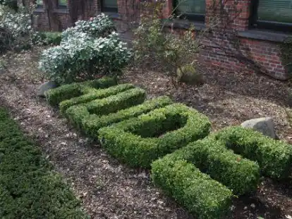 Der Huder Rat wird wieder etwas gr&uuml;ner. Der gr&uuml;ne B&uuml;rgermeisterkandidat konnte allerdings nicht punkten.