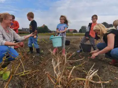 Lehrreicher Ausflug: Angeleitet von Meenje van Velde (l.) und Saskia Sch&ouml;ningh lesen Kinder  Kartoffeln aus der Erde.