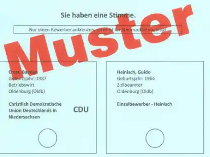 In Hatten wird am 26. September in einer Stichwahl zwischen den verbliebenen B&uuml;rgermeisterkandidaten abgestimmt.