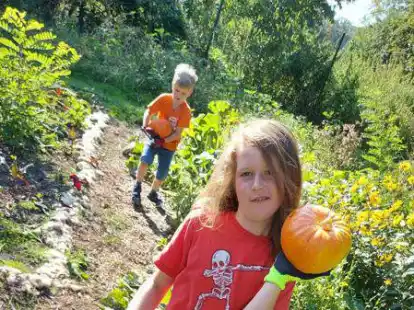 Helfen bei der K&uuml;rbisernte im Gemeinschaftsgarten: Tammo und Janto