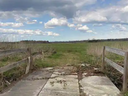 Wiesen soweit das Auge reicht: An dieser Stelle soll in Jeddeloh II ein gro&szlig;es Baugebiet entstehen.
