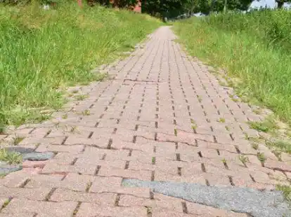 Abgesackt, &uuml;berwuchert, holprig: Dass die Radfahrstrecke entlang des K&ouml;nigswegs saniert werden muss, ist bereits beschlossene Sache, doch die Umsetzung l&auml;sst weiter auf sich warten.