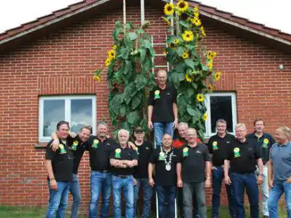 4.29 Meter: Uwe Borchers (auf der Leiter) von den „Freunden der Sonnenblume“ freut sich über seine Sieger-Blume und den Königstitel.