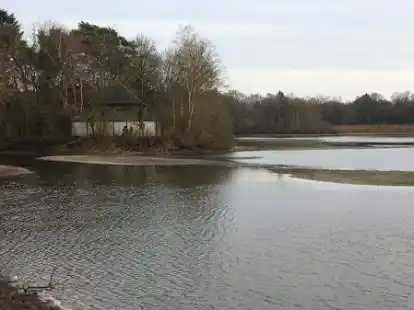 Die Ahlhorner Fischteiche (hier ein Archivbild von Januar 2020) sind in Gefahr. Wassermangel ist ein gro&szlig;es Problem, N&auml;hrstoffeintrag ein noch gr&ouml;&szlig;eres.