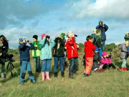 Anl&auml;sslich der 13. Zugvogeltage bietet das Nationalpark-Haus Museum Fedderwardersiel Exkursionen an, um Zugv&ouml;gel zu beobachten.