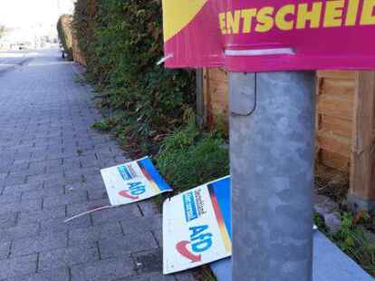 Auch in Emden warb die AfD erfolgreich um Stimmen.