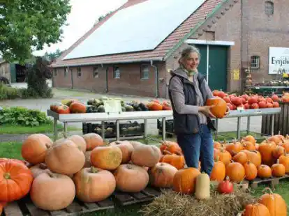 K&uuml;rbis satt: Ute Keunecke vom Eytjehof in Gristede verkauft das sogenannte Fruchtgem&uuml;se in diesen Tagen an die Kundschaft.