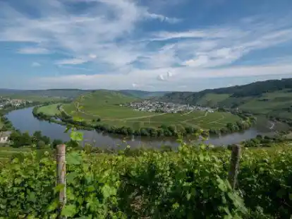 Die Mosel: Einer von drei Fl&uuml;ssen, die die Teilnehmer per Schiff erkunden