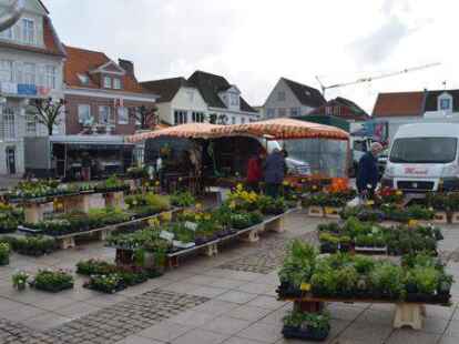 Das Image der Stadt Aurich soll aufpoliert werden. Blick auf den Wochenmarkt auf dem Marktplatz in der Innenstadt.