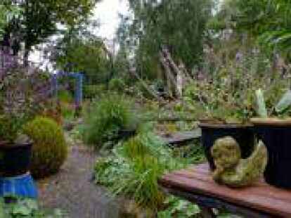 Im Naturgarten von Gersvind Meyer gibt es &uuml;berall entlang der geschwungenen Wege etwas zu entdecken.