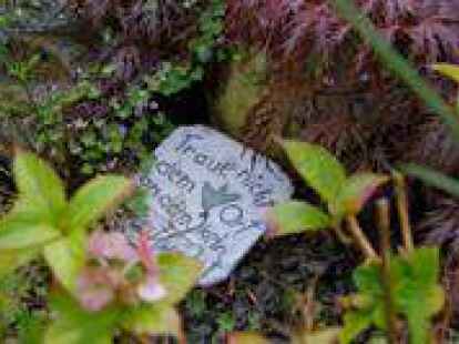 Das Credo von Ilse Bartels: Traue nicht dem Ort, an dem kein Unkraut w&auml;chst.