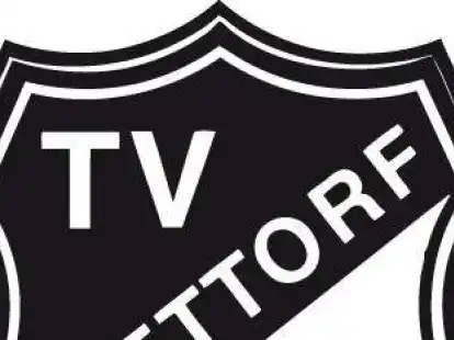 TV Brettorf, Logo
