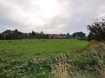 Noch ist es eine Brachfl&auml;che, doch schon in einigen Monaten sollen zwischen Pasewalker- und Dortmunder Stra&szlig;e 25 Baugrundst&uuml;cke entstehen.