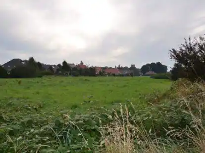 Noch ist es eine Brachfl&auml;che, doch schon in einigen Monaten sollen zwischen Pasewalker- und Dortmunder Stra&szlig;e 25 Baugrundst&uuml;cke entstehen.