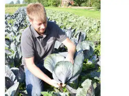 Torsten B&uuml;sing hat derzeit alle H&auml;nde voll zu tun.