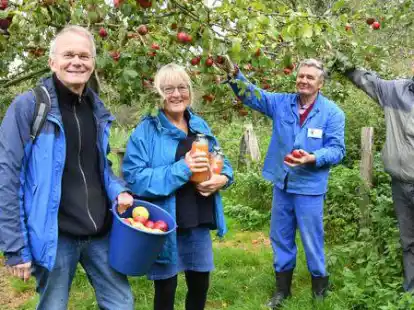 Niels Haase (v.l.), Christiane Lasius-Haase, Gerd M&uuml;nstermann und Heiko Ackermann an einem der noch nicht abgeernteten Apfelb&auml;ume.
