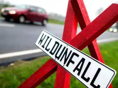 400 bis 500 Wildunf&auml;lle gibt es pro Jahr im Landkreis Leer.