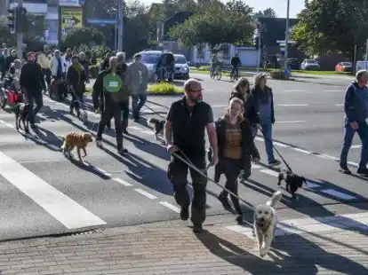 Dutzende Hundehalter demonstrierten am Wochenende f&uuml;r eine Hundefreilauffl&auml;che in Varel und zogen vom Wald vor das Vareler Rathaus.