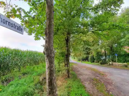 Die Ahornstra&szlig;e in Vielstedt: Rechts die alte Siedlung im Gr&uuml;nen, links der Maisacker, auf dem das kleine Baugebiet geplant ist.