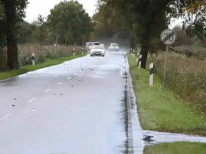 Ulmenstra&szlig;e, Butjadingen