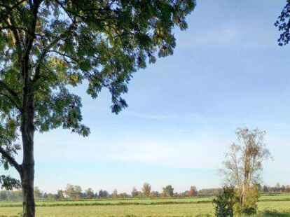 Diese Eichenbank haben die Jagdgenossen dem Bahndammverein geschenkt.