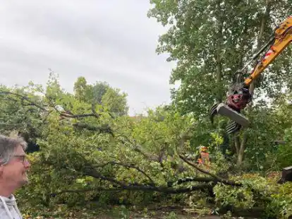 Entsetzt: Nachbar Michael Gergele beobachtete die Baumf&auml;llungen an der Ecke Alexanderstra&szlig;e/Feldstra&szlig;e.
